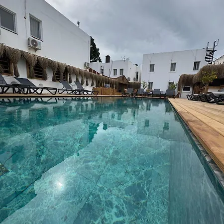 Costa Viva בודרום